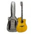 Violão Eletroacústico Waldman Dcex-2041 Yl C/ Bag Cor Amarelo Material Do Diapasão Purpleheart Orientação Da Mão Destro