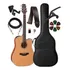 Violão Takamine Gd20ce Ns Fosco Capa Luxo E Suporte Spf