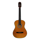 Violao Waldman Acustico Nylon