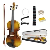 Violino 4 4 Konig