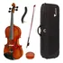 Violino Concerto Series Eagle Vk644 Envelhecido Envernizado