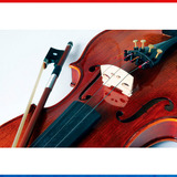 Violino Eagle Profissional Vk 644 4 4 Maciço Solid Spruce