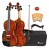 Violino Eagle Vk 644 Case, Breu, Arco Espaleira Cor Natural