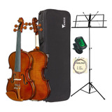Violino Profissional Eagle Ve441 Completo Com Acessórios