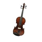 Violino Profissional Instrumentos Musicais Bordo Angustiado