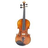 Violino Profissional Violino De