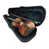 Violino Scarlett Envelhecido Fosco 4 4 Estudante Completo Cor Natural Fosco