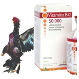 Vitamina B12 50 000 Argentina Para