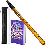 VixxNoxx Apito De Lata Irlandês Em Chave De D  Apito Tradicional Para Adultos E Iniciantes  Ideal Para Música Folclórica Celta  Instrumentos De Sopro Clarke De Latão E Apito Baixo Com Livro De Música