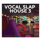 Vocals Slap House Samples