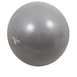 Vollo Sports Gym Ball