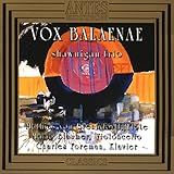Vox Balaenae Piano Trios