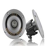 VOYZ Alto Falante Tweeter De Potência Máxima De 300 Watts Tweeters Piezo Super Chifre De 8 8 Cm Com Diafragma De Alumínio E Bobina De Voz De Alta Temperatura 4 8 Ohms Para Caixa De Alto Falante Ou Projeto De Som 1 Par 2 Peças PET 1919L 