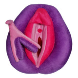 Vulva Didática