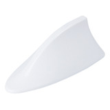 w Para Carros Antenna
