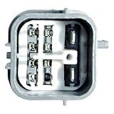 WAI Distribuidor DST17408