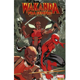 Wakanda Pra Sempre Novo E Lacrado Bau Comic Shop