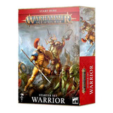 Warhammer Age Of Sigmar Warrior Box