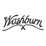 Washburn 4