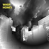 WASP HONEY