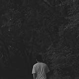 Wayfarer 