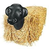 Weaver Equine Plastic Calf Head Roping Dummy Head Team Practice Cattle Head Roping Target 28 Cm Wide Head Preto