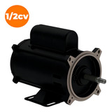 Weg Motores 14411703 Preto