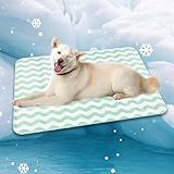 Wegitcs Tapete Para Cães De Estimação Verde 60 X 90 Cm