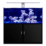 Wfish Suporte Traseiro Luminária Coral Pro