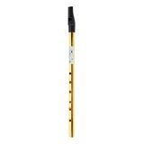 Whistle Flute 6 Buracos