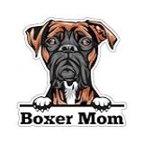 Wickedgoodz Adesivo De Vinil