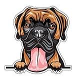 Wickedgoodz Decalque De Vinil