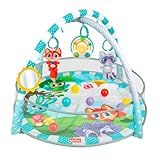 Winfun - Ginasio De Atividades - Tapete E Piscina De Bolinhas - Yestoys