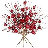 Winlyn 6 Pcs Palitos