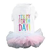 Wiz BBQT Vestido De Tutu De Aniversário Para Cachorro Roupas Para Cachorros Pequenos Menina Chihuahua Yorkshire Roupa De Festa De Aniversário Vestido L 