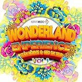 Wonderland Experience CD 2 Mixed By Geo Da Silva Continuous DJ Mix 
