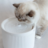 Woolie Bebedouro Fonte Para Gatos Bivolt Silencioso