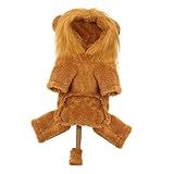 WOONEKY 1 Unidade Animal De Estimação Se Transforma Em Roupa De Leão Roupa Pet Roupinha Pet Cão Hoodie Do Dia Das Bruxas Traje Do Gato Leão Golden Retriever Poodle Definir Roupas