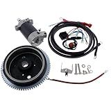 WQSING Kit De Volante De Motor De Partida Elétrica Compatível Com Motor De Popa Yamaha 4 Tempos 20HP F20SMHB F20BMH F20BMH F20LMHA F20MLH F20MSHG F20SMHA Starter