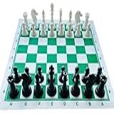 Xadrez Oficial Jogo Tabuleiro