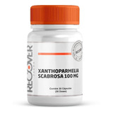 Xanthoparmelia Scabrosa 100 Mg 30 Cápsulas 30 Doses 