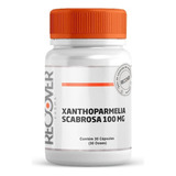 Xanthoparmelia Scabrosa 100 Mg 30 Cápsulas Sabor Natural