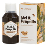 Xarope Antigripal Uniflora Mel Gengibre E Eucalipto 180g