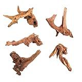 XINGYUXUXIN Tronco De árvore Natural De Madeira Flutuante Para Aquário Com Vista Para Jardim Ornamental Madeira Flutuante Decoração De Raiz De Madeira Morta Esconderijos -formato Aleatório- 5-10 Cm