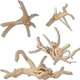 XINGYUXUXIN Tronco De Madeira Flutuante De Aquário Natural E Ramos Sortidos - Ornamento Decorativo De Terrário- 4 Peças- Tamanhos De 15 A 20 Cm - Perfeito Para Vários Aquários E Terrários