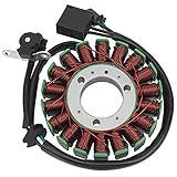 XuLong Bobina De Estator Magnético Para Kawasaki EX250 ABS Ninja 250 250R 2013 2017 EX300 Ninja 300 ABS 2013 2017 ER250 Z250 ABS 2015 2017 ER300 Z300 ABS 20155 2017 2016 21003 0128
