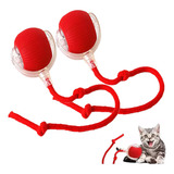 Animais