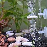 Yagote Difusor De Co2, 3 Difusores De Co2 De Vidro Spiro, Reator De Vidro Para Plantas De Aquário, Adequado Para Tanques 15-50 Galas/60 Litros - 200 Litros (difusor De Co2 - Espiral)