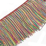 Yalulu 199 9 Cm X 19 8 Cm Fibra De Poliéster Franja Borla Acabamento De Renda Franja Franja Aparar Franja Para Vestido Latino DIY Acessórios De Roupas De Palco Arco íris 