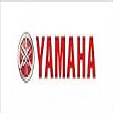Yamaha Conjunto De Motor